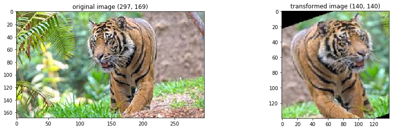 Data augmentation