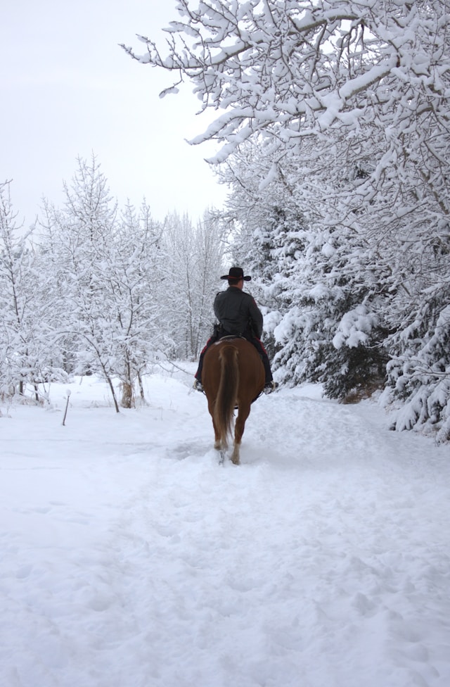 Stopping by Woods on a Snowy Evening